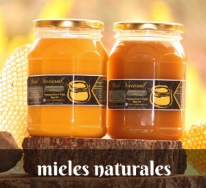 Miel Miel