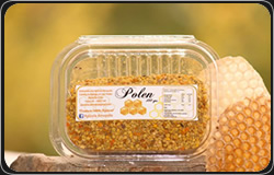 Polen Polen