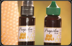 Propóleo Propóleo